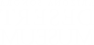 亚利桑那-索诺拉<a href='http://vaqekd.sciencehong.com'>网上买球十大正规平台</a>